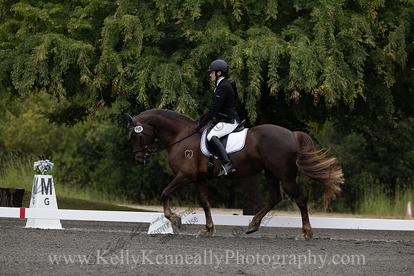 FFDressage23-00031