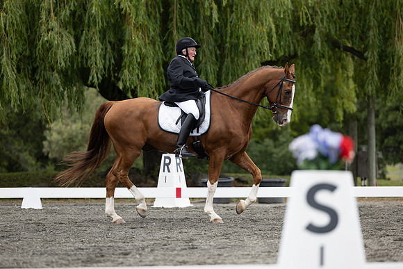 FFDressage23-1620