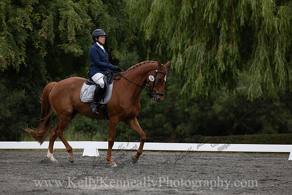 FFDressage23-1046