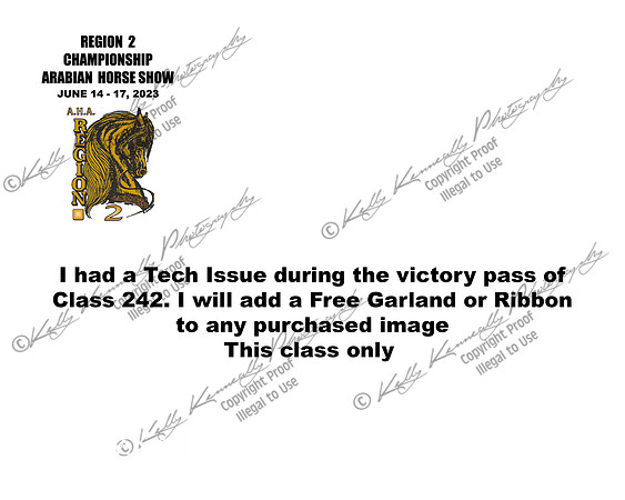 Class242_AddRibbon