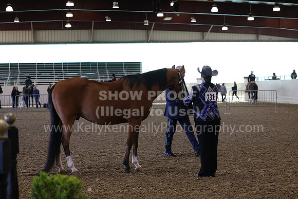 AHANC23_Wed_0036
