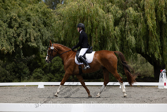 FFDressage23-2744