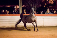 4DAHA_Party_Liberty084