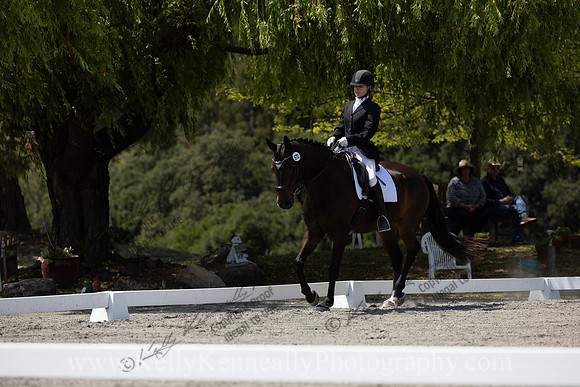 FFDressage23-00301