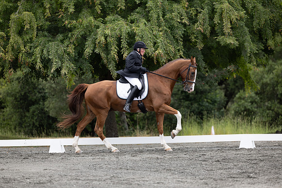 FFDressage23-1886