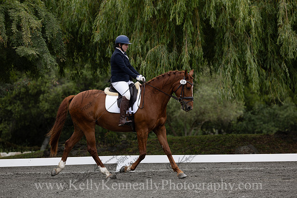 FFDressage23-00075