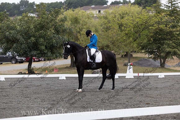 FFDressage23-00049