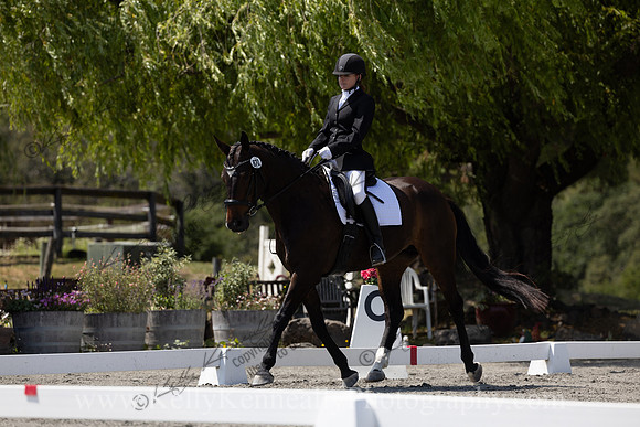 FFDressage23-00302