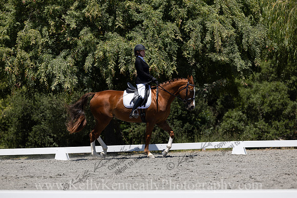 FFDressage23-00245
