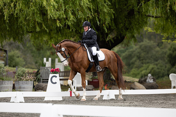 FFDressage23-1732