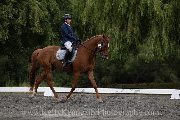 FFDressage23-1050
