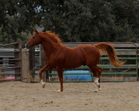 DocFall26_4346
