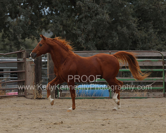 DocFall26_4346