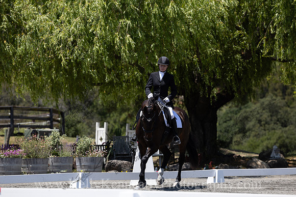 FFDressage23-00258