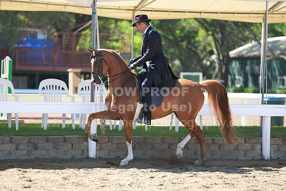 DAHA23_Fri_0405