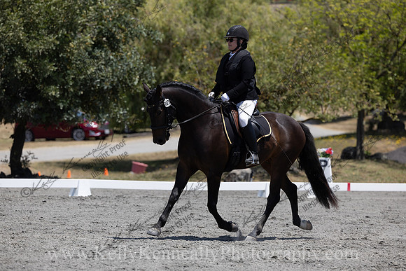 FFDressage23-00202
