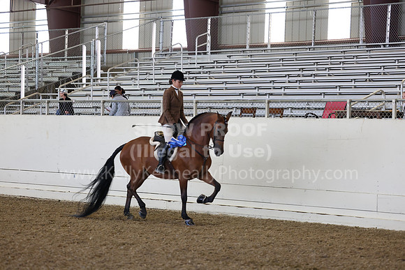 AHANC23_Thurs_0455