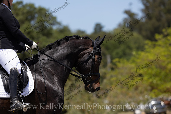FFDressage23-3750