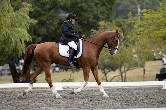 FFDressage23-1646