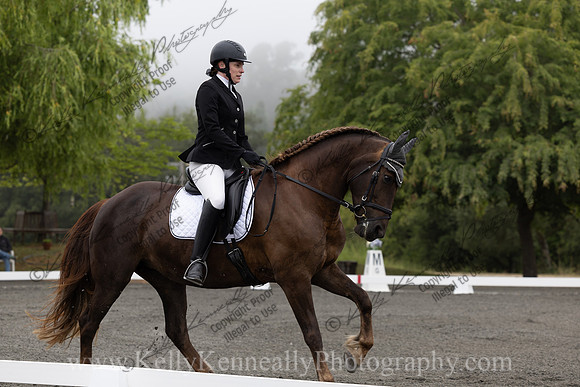 FFDressage23-00032