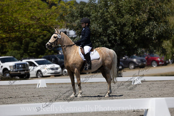 FFDressage23-00284