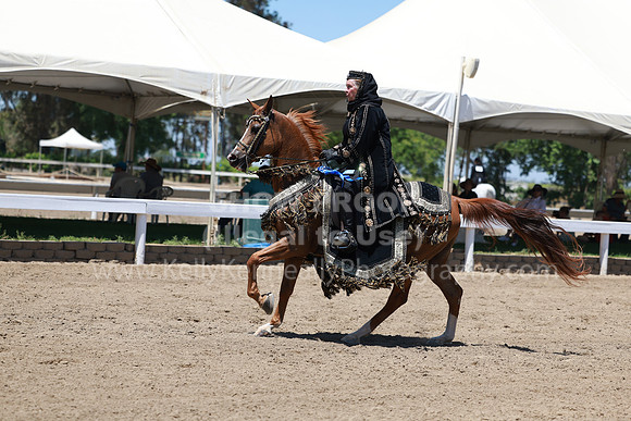 DAHA23_Fri_1453