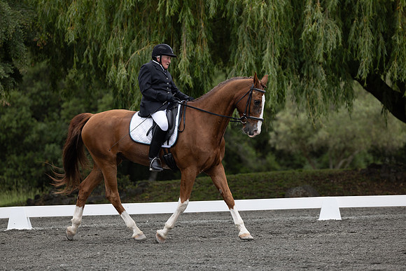 FFDressage23-00091
