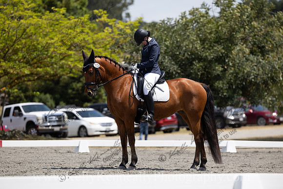 FFDressage23-00177