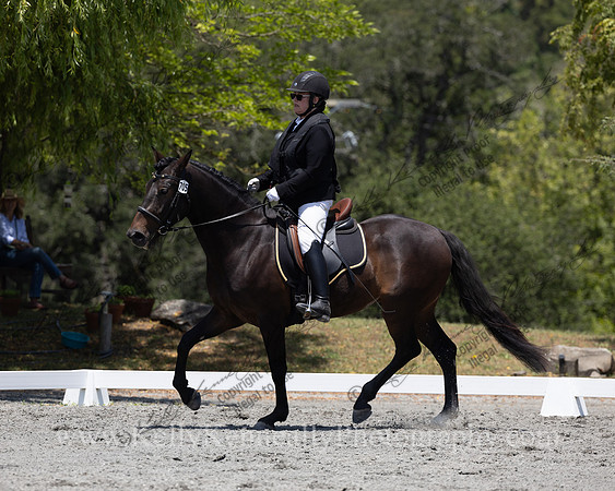 FFDressage23-00210