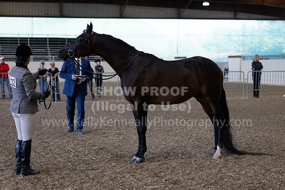 AHANC23_Wed_2724