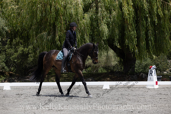FFDressage23-2916