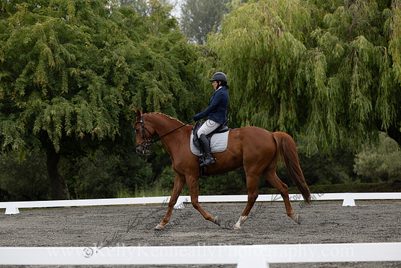 FFDressage23-0957