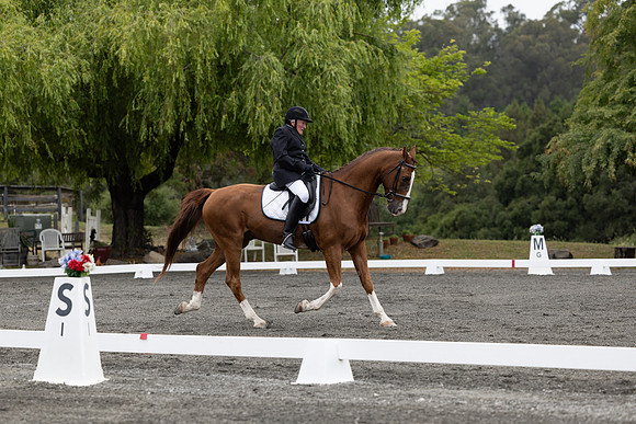 FFDressage23-00088