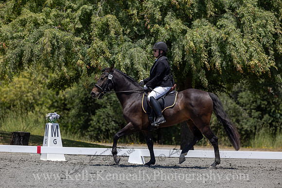 FFDressage23-00209