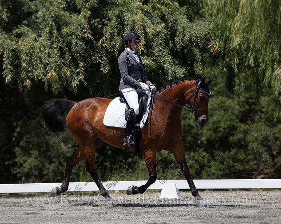 FFDressage23-4277