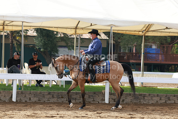DAHA23_Sun_7808