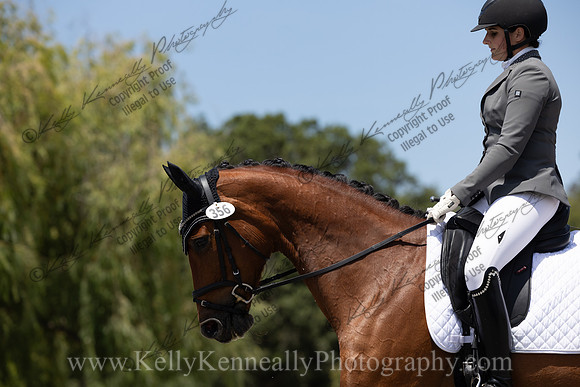 FFDressage23-4131