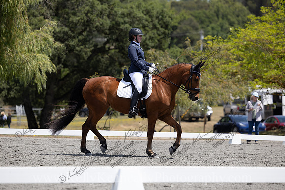 FFDressage23-00183