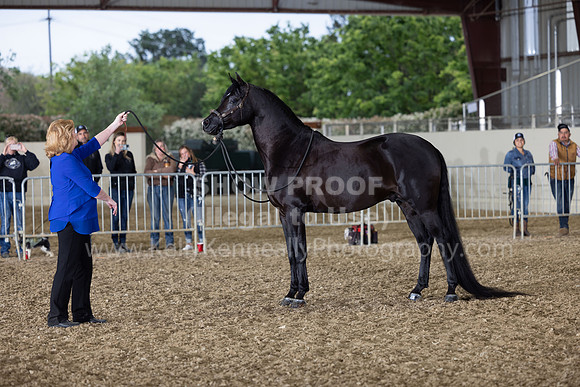AHANC22_R5_Wed_0406
