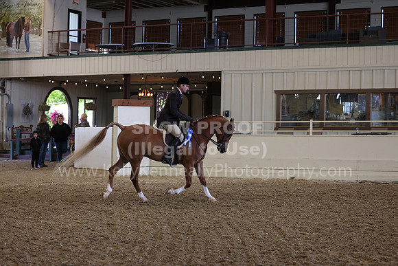AHANC23_Wed_0413