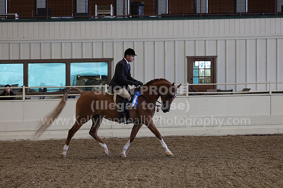 AHANC23_Wed_0431