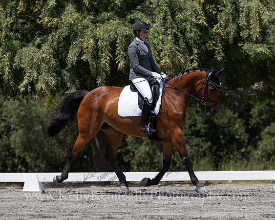 FFDressage23-4264