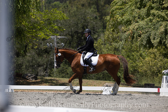 FFDressage23-00248
