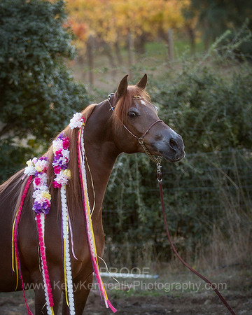 CorrineUnicorn_712