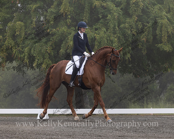 FFDressage23-0071
