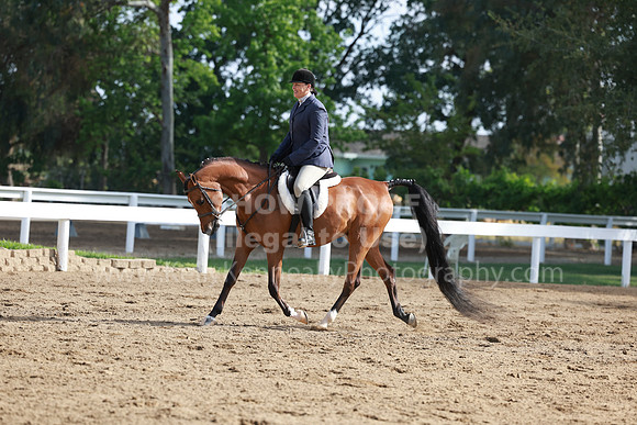 DAHA23_Sun_8008