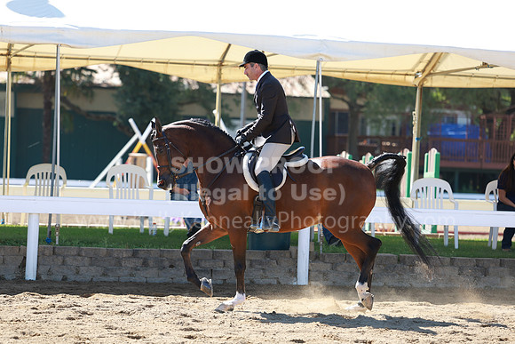 DAHA23_Fri_0382