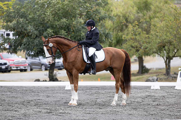 FFDressage23-2090