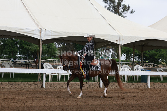 DAHA23_Sun_7364