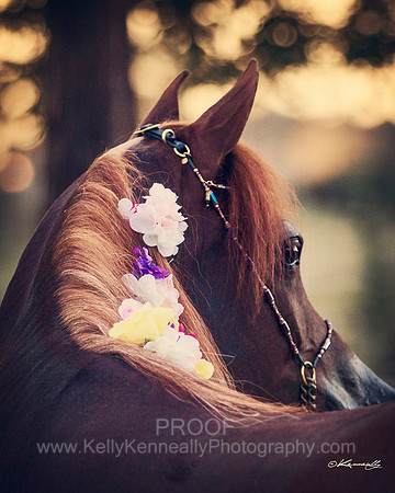 CorrineUnicorn_774